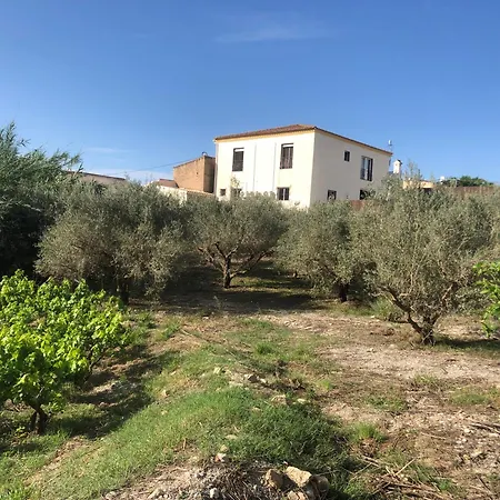 La Casa Gallardos